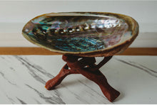 Load image into Gallery viewer, Abalone Shell &amp; Cobra Stand
