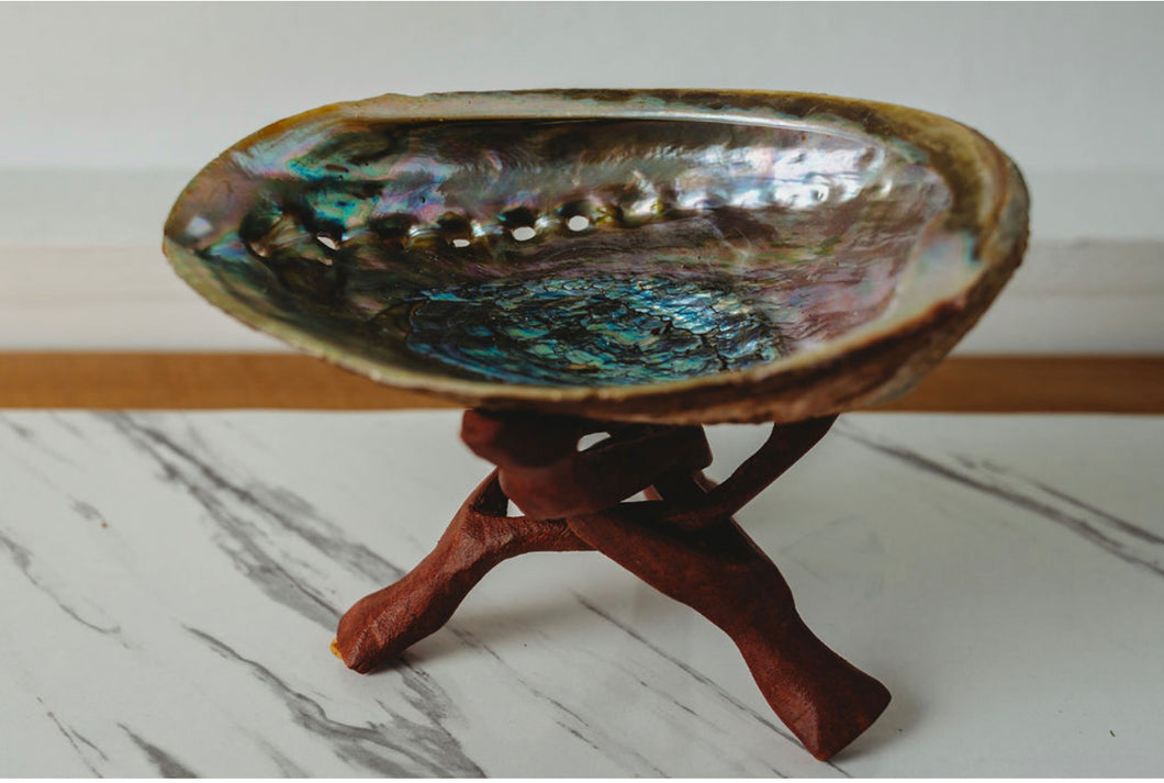 Abalone Shell & Cobra Stand